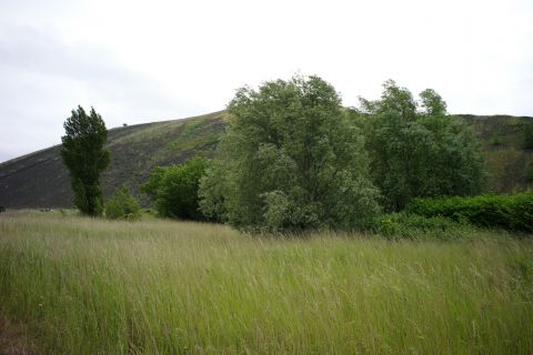 LENS, Chaîne des Parcs