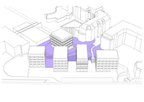 VERSAILLES, terrain Providence / Concours