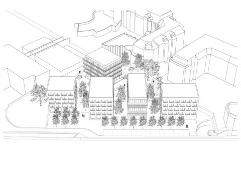 VERSAILLES, terrain Providence / Concours