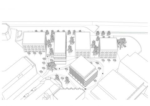 VERSAILLES, terrain Providence / Concours