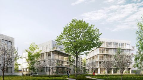 VERSAILLES, terrain Providence / Concours