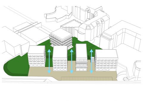 VERSAILLES, terrain Providence / Concours