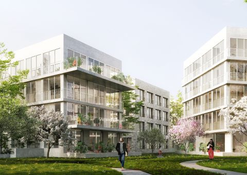 VERSAILLES, terrain Providence / Concours