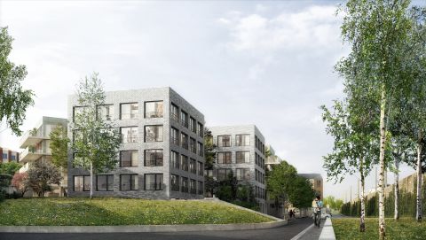 VERSAILLES, terrain Providence / Concours