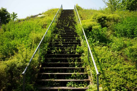 LENS, Chaîne des Parcs