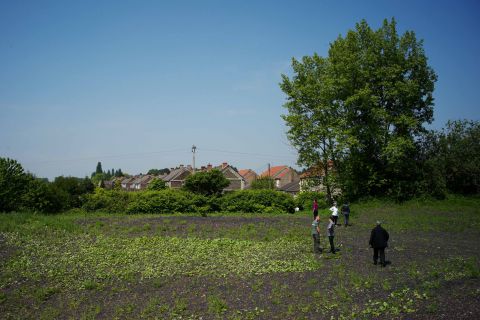 LENS, Chaîne des Parcs