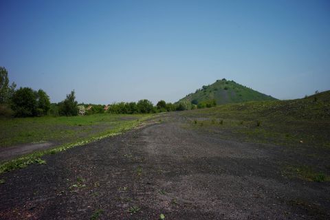 LENS, Chaîne des Parcs