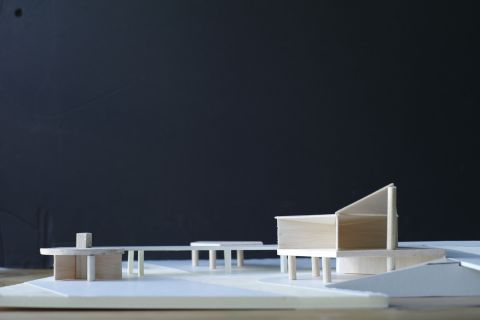 PARIS LA DEFENSE, Rose de Cherbourg / Concours