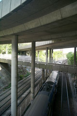 PARIS LA DEFENSE, Rose de Cherbourg / Concours